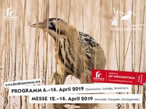 Pannonian Bird Experience - 2019 