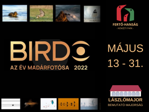 Birdo - Az év madárfotósa 2022 kiállítás Lászlómajorban
